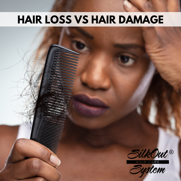 Hair Loss vs Damaged Hair